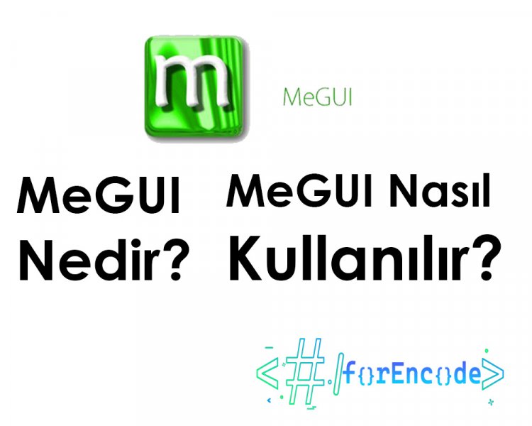 Megui Nasıl Kurulur ve Kullanılır?